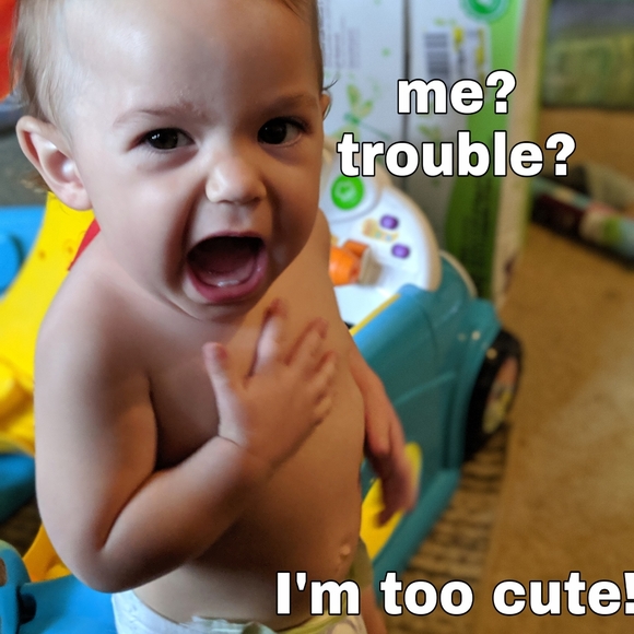 Meet your Posher, Crystal - Picture 13 of 15